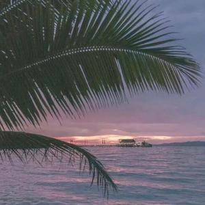 韩国午夜福利视频
